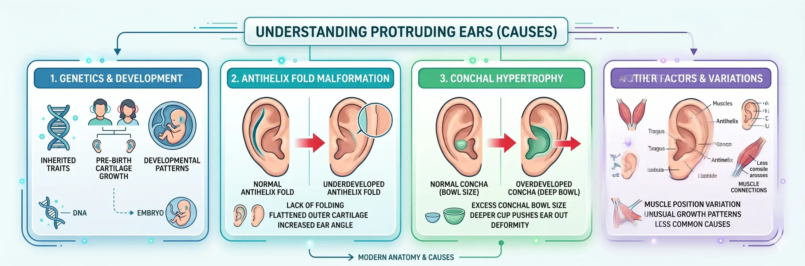 What Causes Protruding Ears